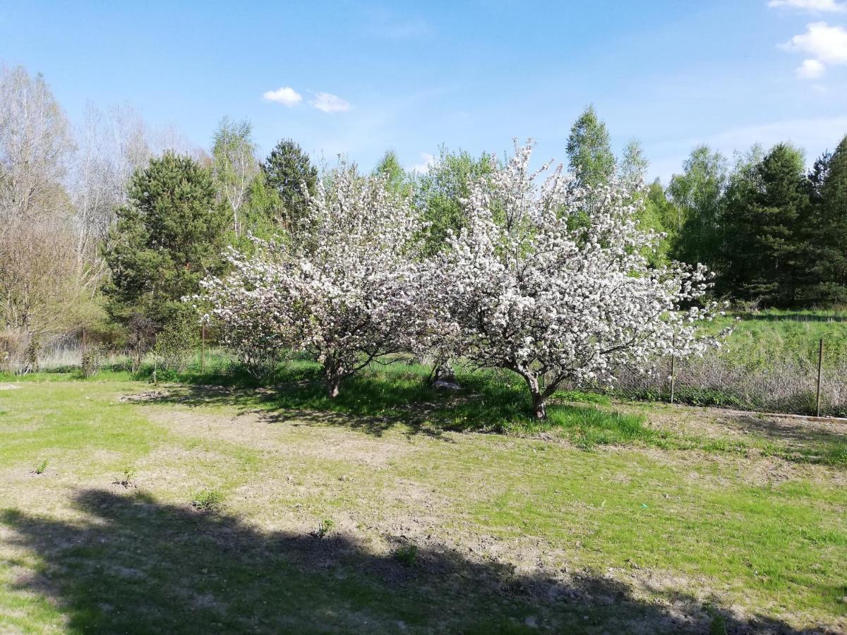 Przystanek Kozia Góra Kozia Gora Exterior foto